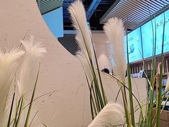 -蜜桃餐厅·伴山(绿宝广场店)