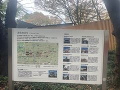 -名古屋城