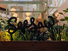 -Seesaw Coffee(上海太阳宫K46店)