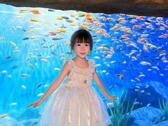-南昌融创海世界