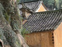 -杨家堂村