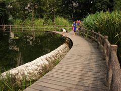 植物塘床系统-成都市活水公园