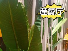 -莲餐厅·湖北菜·藕汤老手艺(愚园路店)