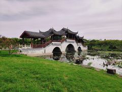 -上海海湾国家森林公园