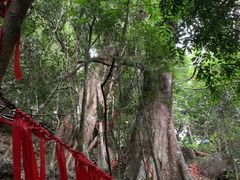 -七仙岭温泉国家森林公园