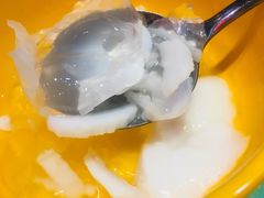 经典椰子冻-东记甜品(佛山总店)