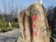 -高东镇樱花园