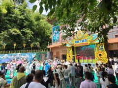 -西双版纳原始森林公园