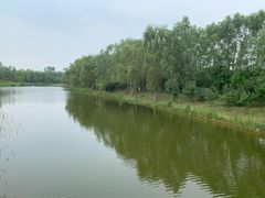 -东郊湿地公园