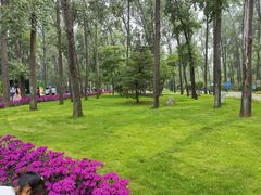 -秦皇岛野生动物园