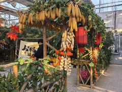 -南和农业嘉年华