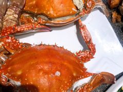 海蟹-渔民船说·北塘海鲜·天津菜·海肠捞饭(北塘古镇店)