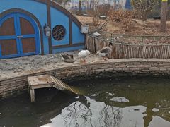 -南宫五洲植物乐园