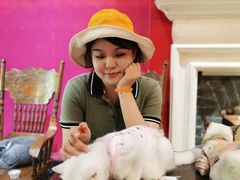 -猫色咖啡·猫咖