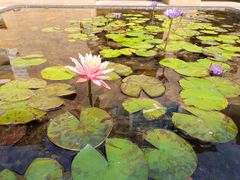 -三亚海棠湾万丽度假酒店