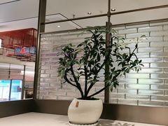 -海底捞火锅(高科广场店)