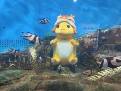 -合肥海洋世界