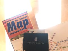 -新加坡丽思卡尔顿美年酒店