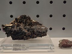 -中国地质博物馆