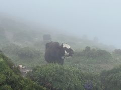 -灵山