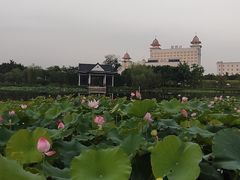 -映月湖公园
