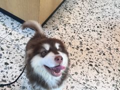 -魏铭鱼头捞饭(晋阳路店)