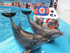 -尼莫海豚馆