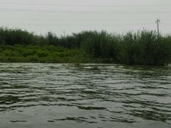 android_upload_pic-白洋淀风景区