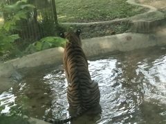 -黔灵山公园-南门售票处