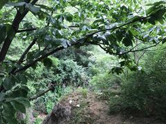 -北京水岸山吧度假村(雁栖镇店)