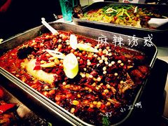 麻辣诱惑-鱼酷活鱼烤鱼(恒隆广场店)