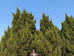 -南沙蒲洲花园