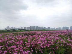 -汉江湾体育公园