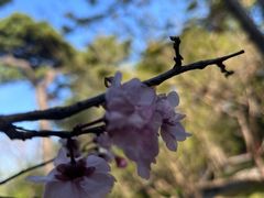 -香山公园