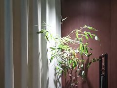 -王府茶宴(大观园总店)