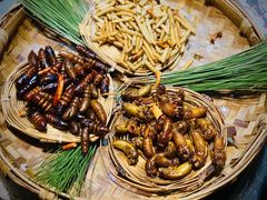 -昆虫窝子·特色云南菜(拓东路总店)