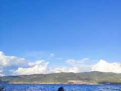 -才村湿地公园