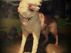 -上海公安博物馆