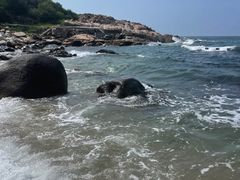 -广东惠东海龟国家级自然保护区