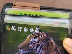 -武汉动物园