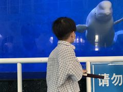 -泉城欧乐堡海洋极地世界