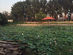 -意大利农场度假村