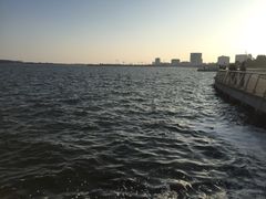 -南汇嘴观海公园