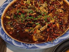 -新概念来凤鱼(璧山店)