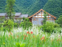-娄山关景区