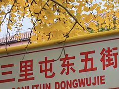 -三里屯东五街银杏大道