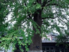 -常熟方塔园