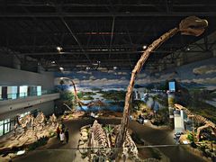 -自贡恐龙博物馆