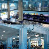浪漫指数五颗星的小海豚海鲜餐厅