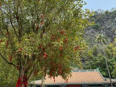 -星湖旅游景区七星岩